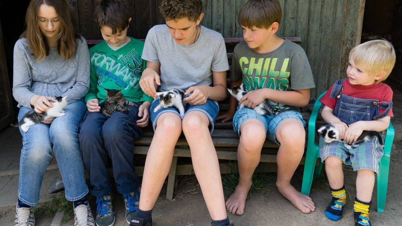 Kinder und Tiere Kinder und Tiere